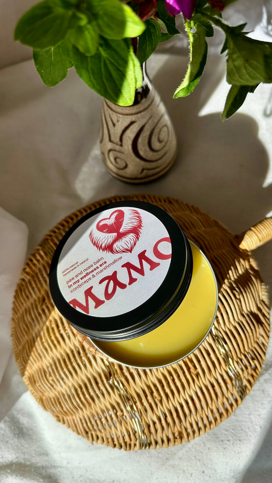 Open balm tin showing creamy texture – botanical paw care for dogs
