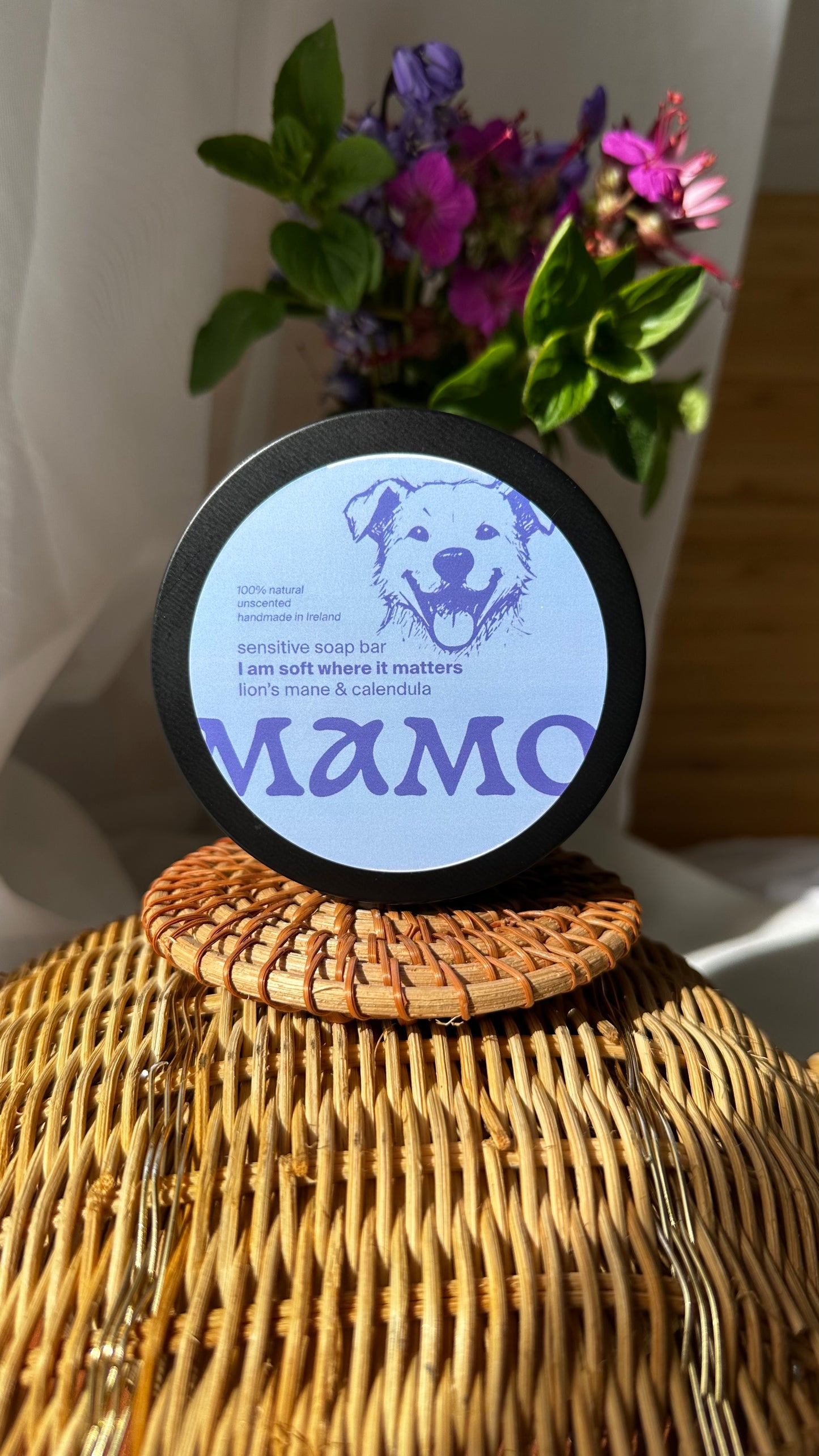 Sensitive Dog Soap Bar - Lion's Mane & Calendula - “I am soft where it matters.” Unscented