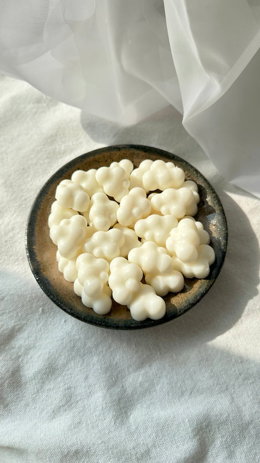 Close-up of eco-friendly wax melts with smooth finish