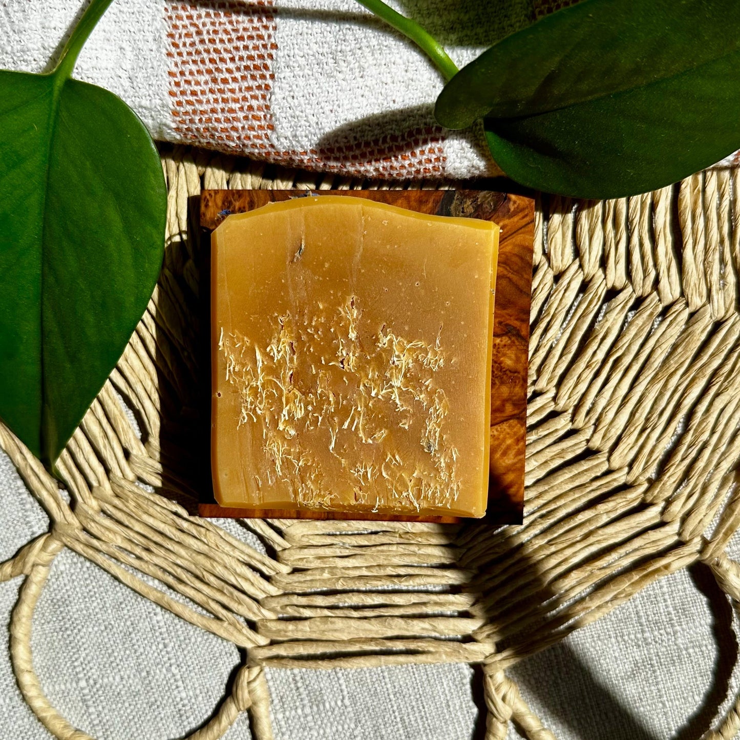 Dream Big - Lemon Honey – Luffa Body Soap - A005LB - MAMO