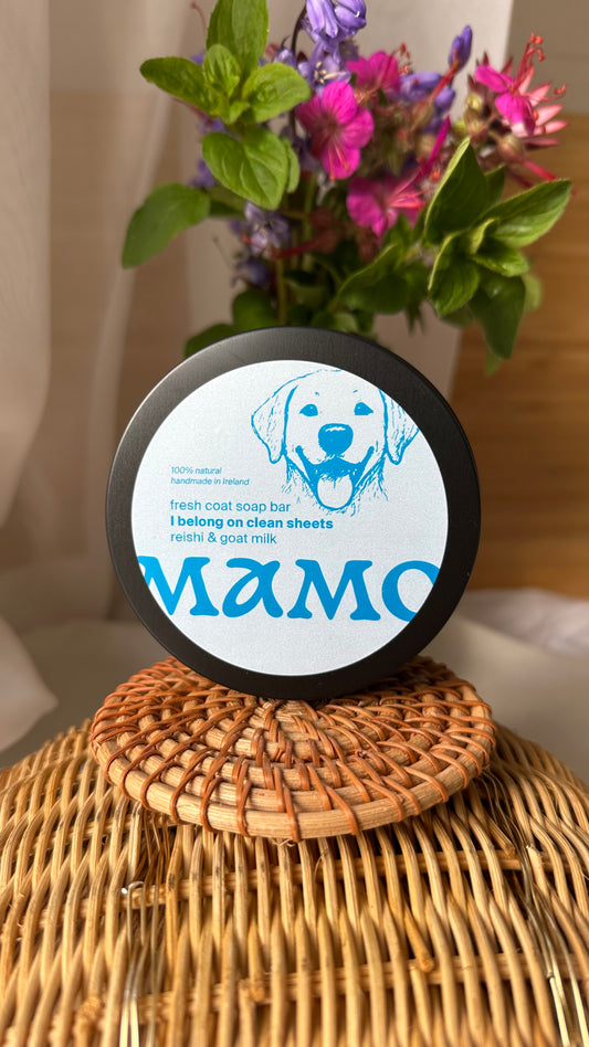 Natural dog soap with goat milk, reishi & honey – plastic-free grooming