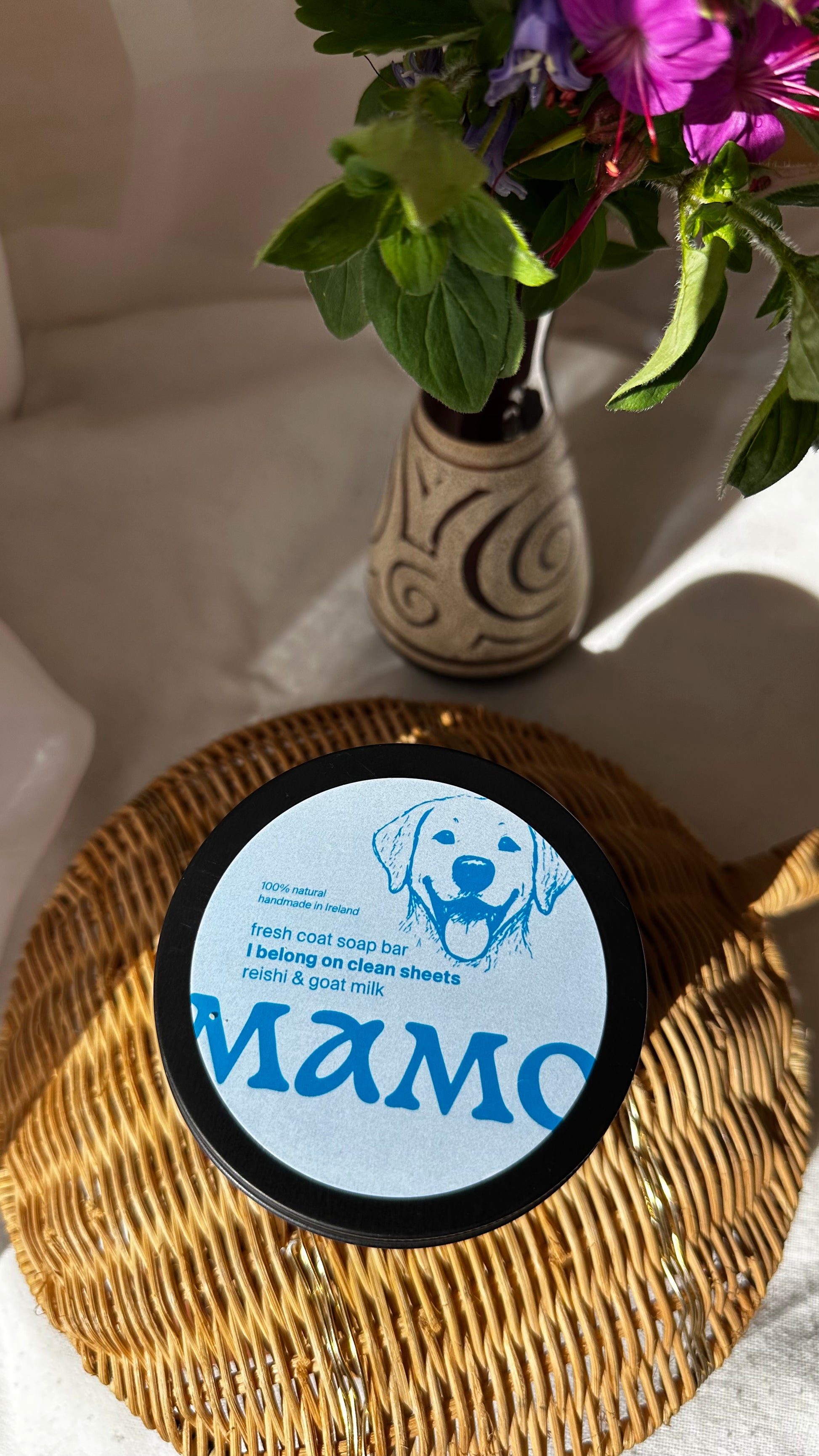 Flat lay of Fresh Coat Dog Soap with nettle and neem – eco-friendly grooming