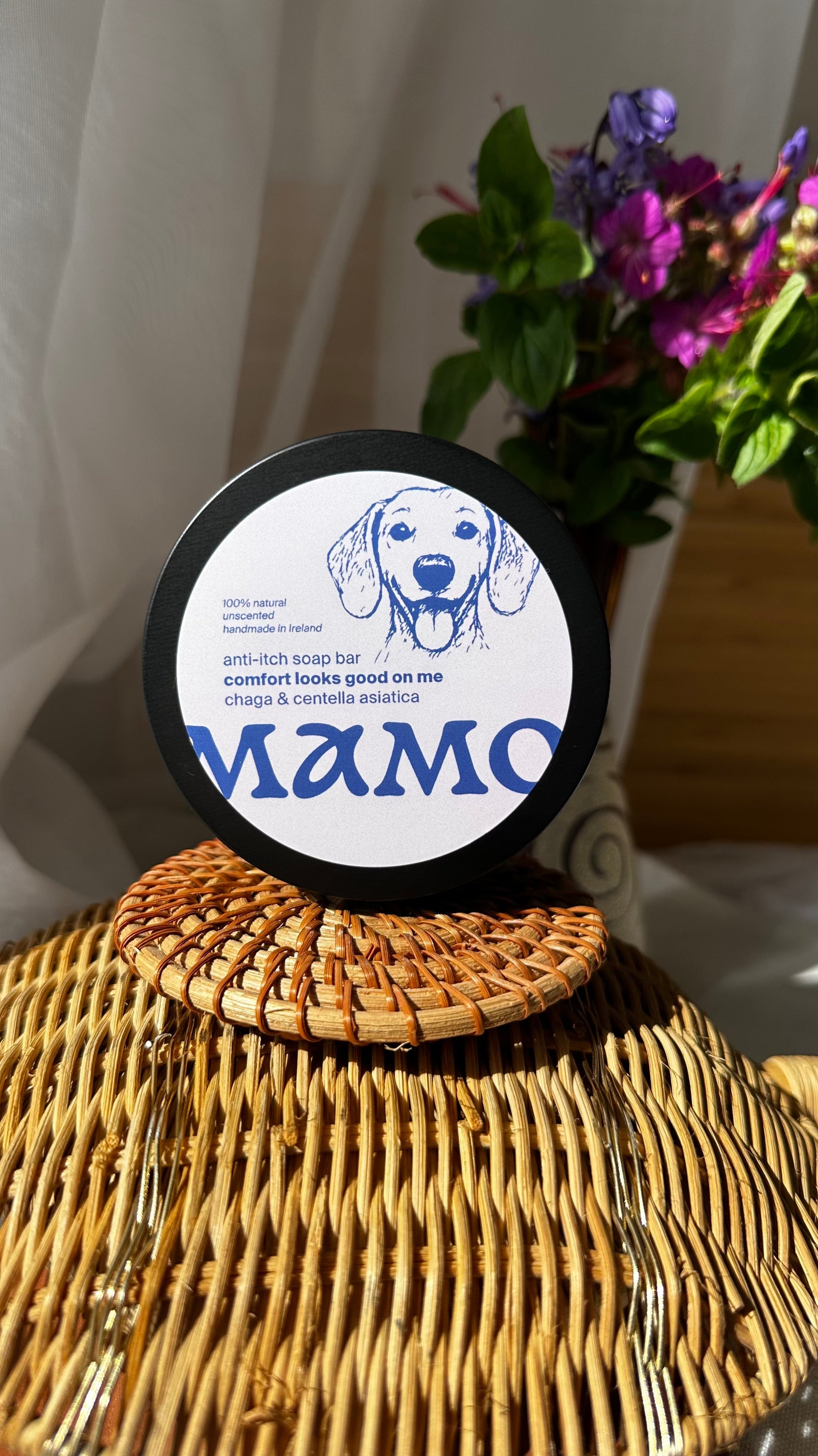 Anti - Itch Dog Soap Bar - Chaga & Centella Asiatica (Unscented) - DSA001 - MDSA001 - MAMO