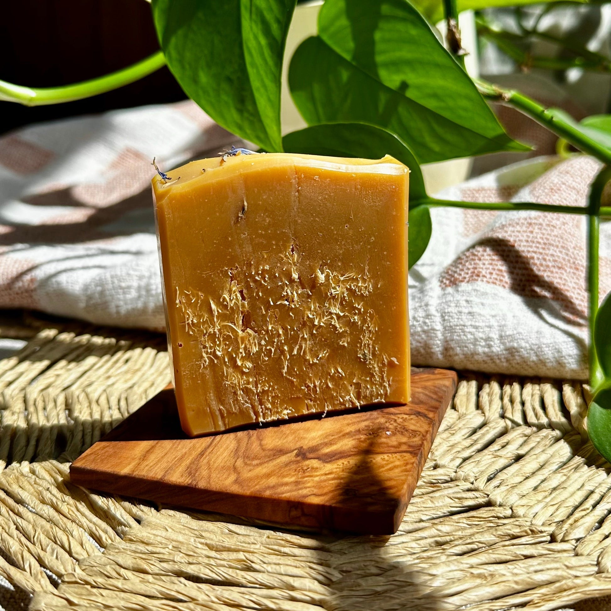 Dream Big - Lemon Honey – Luffa Body Soap - A005LB - MAMO