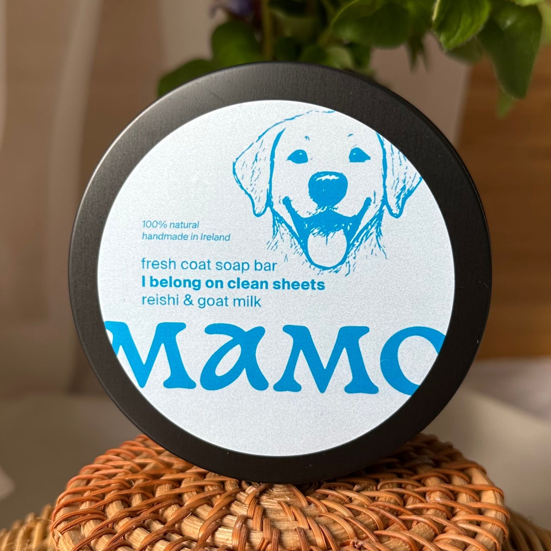 Fresh Coat Dog Soap Bar — Reishi & Goat Milk - DSH001 - MDSH001 - MAMO