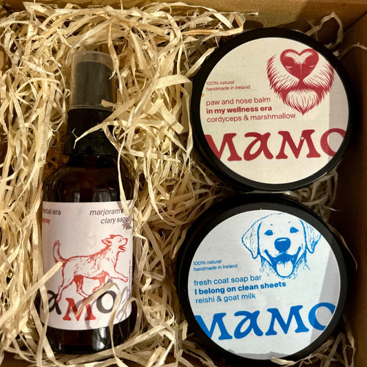 Little Dog Lover Set - MAMO