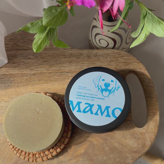 Dog shampoo bar with herbs – MAMO Fresh Coat