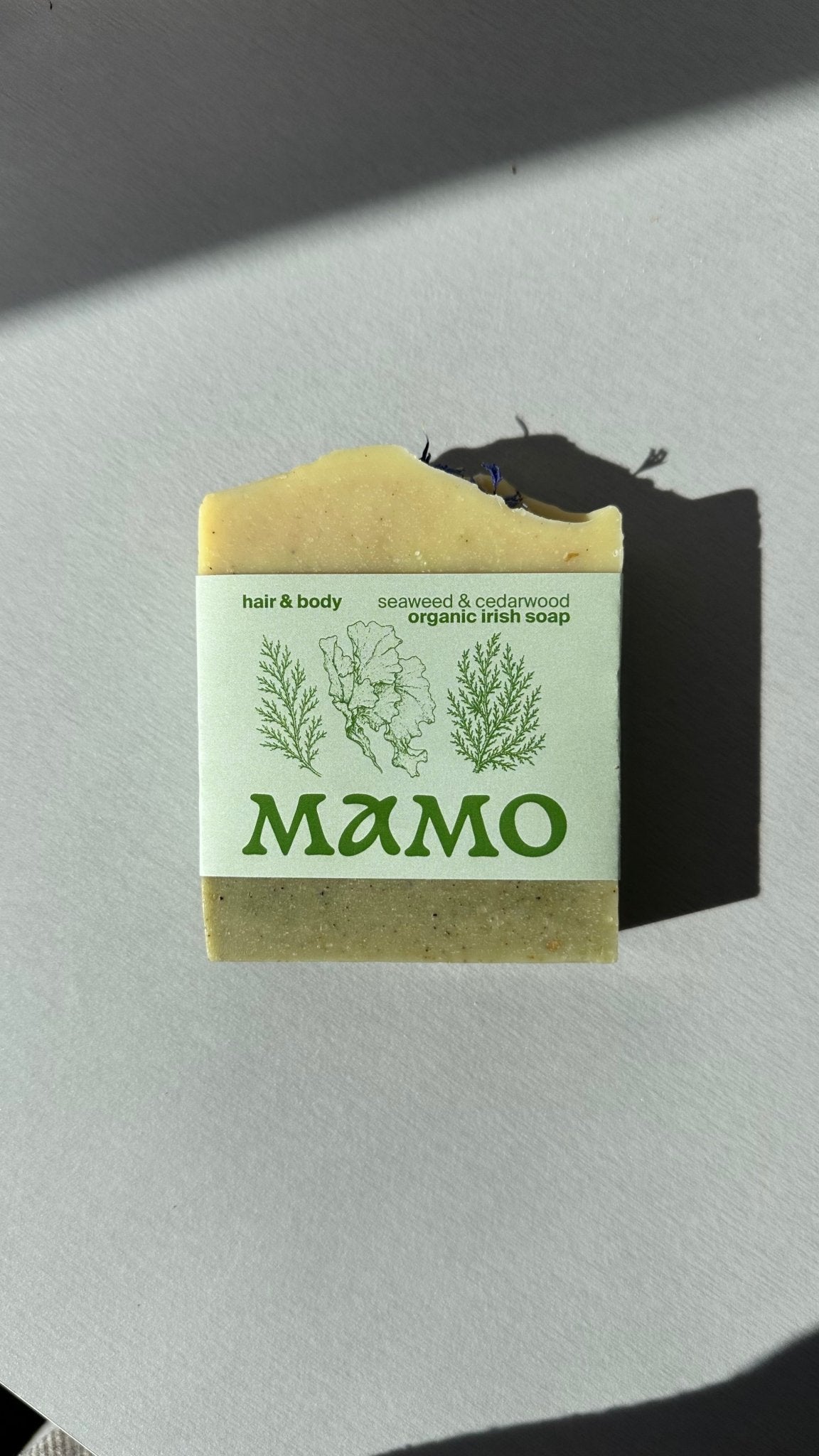 Seaweed Soap — Seaweed & Cedarwood - MAMO